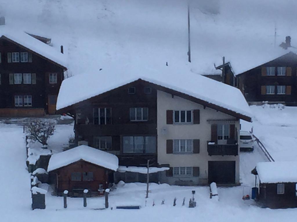 Chalet Wildbach Adelboden Eksteriør bilde